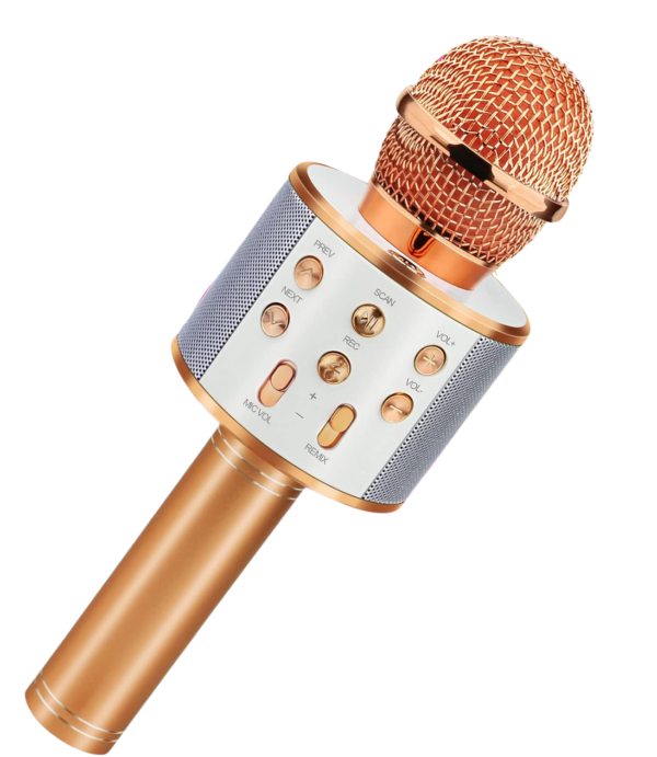 Viposoon Kids Toys, Handheld Bluetooth Microphone