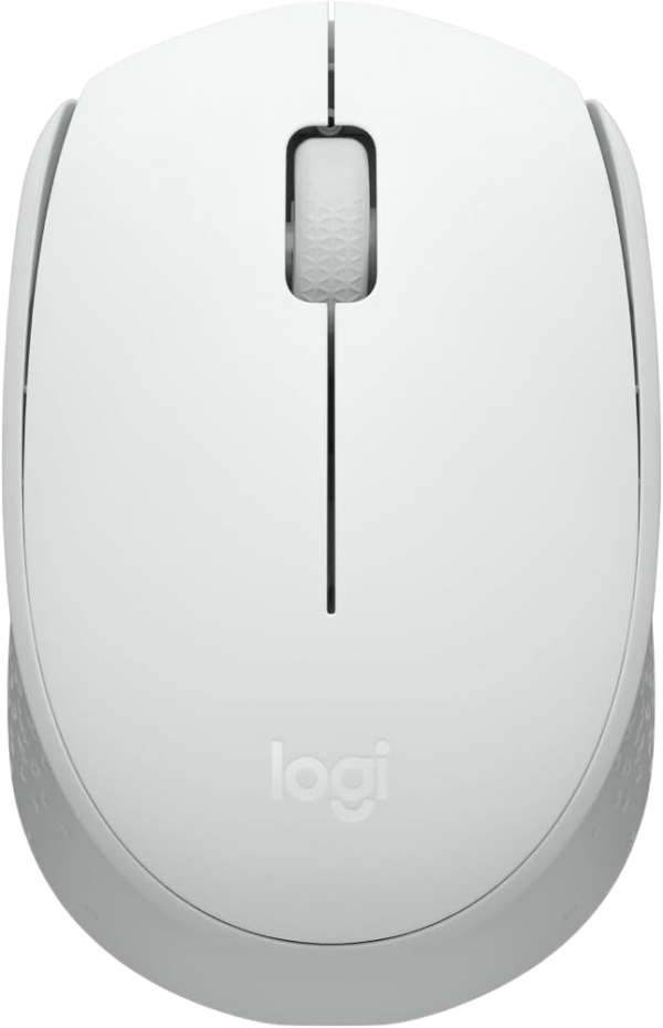 LogiTech M170 Wireless Mouse (White)